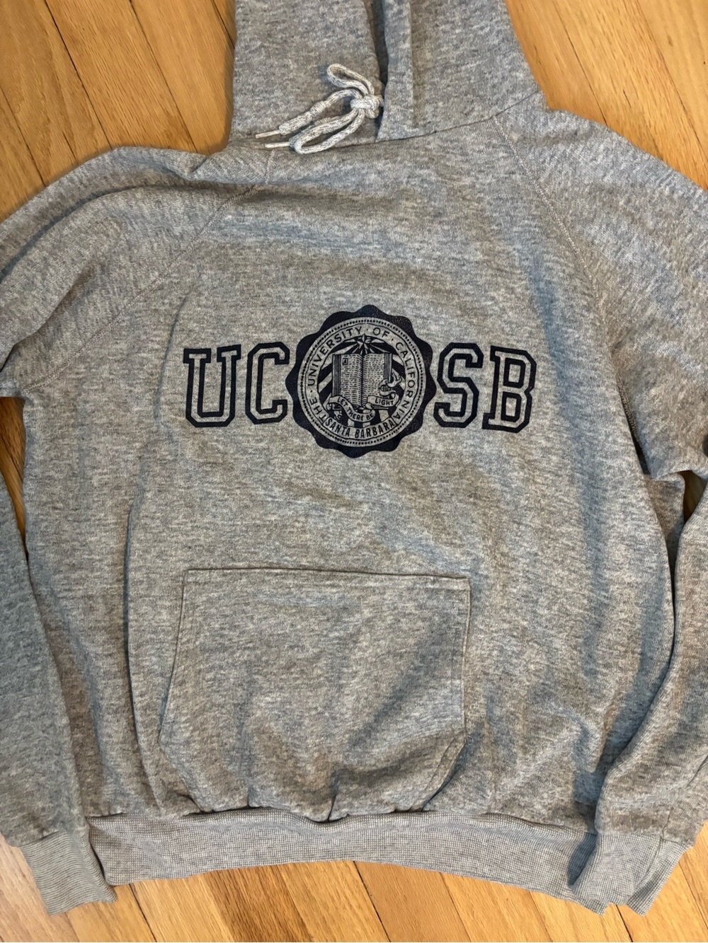 Vintage UC Santa Barbara Gray Hoodie | Listed as XL but fits like a small